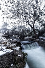 雪后清晨