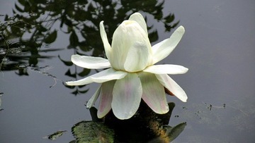 IMG_1180.jpg