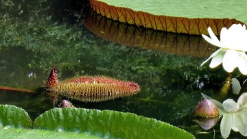 IMG_1181.jpg