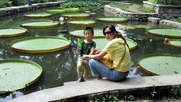 IMG_1182.jpg