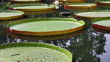 IMG_1187.jpg