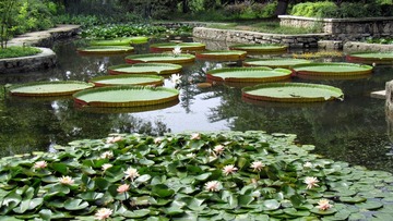 IMG_1191.jpg
