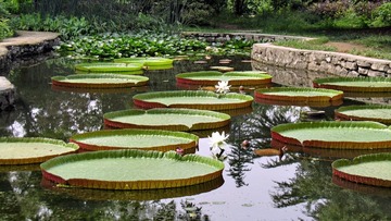 IMG_1192.jpg