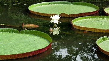 IMG_11810.jpg