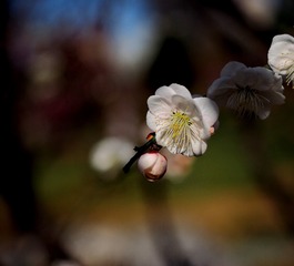 P3301917