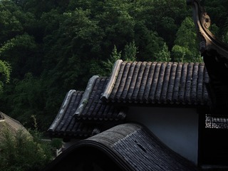 P5100194