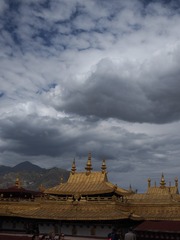 P7150079