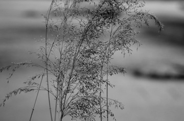 P2160617