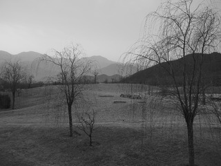 P2160558