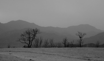 P2160597