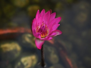 P3010134