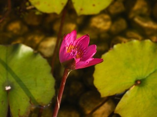 P3010122