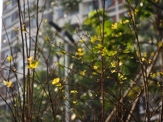 P3010055