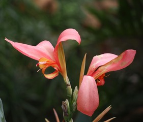 P3010145
