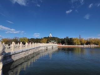 155502