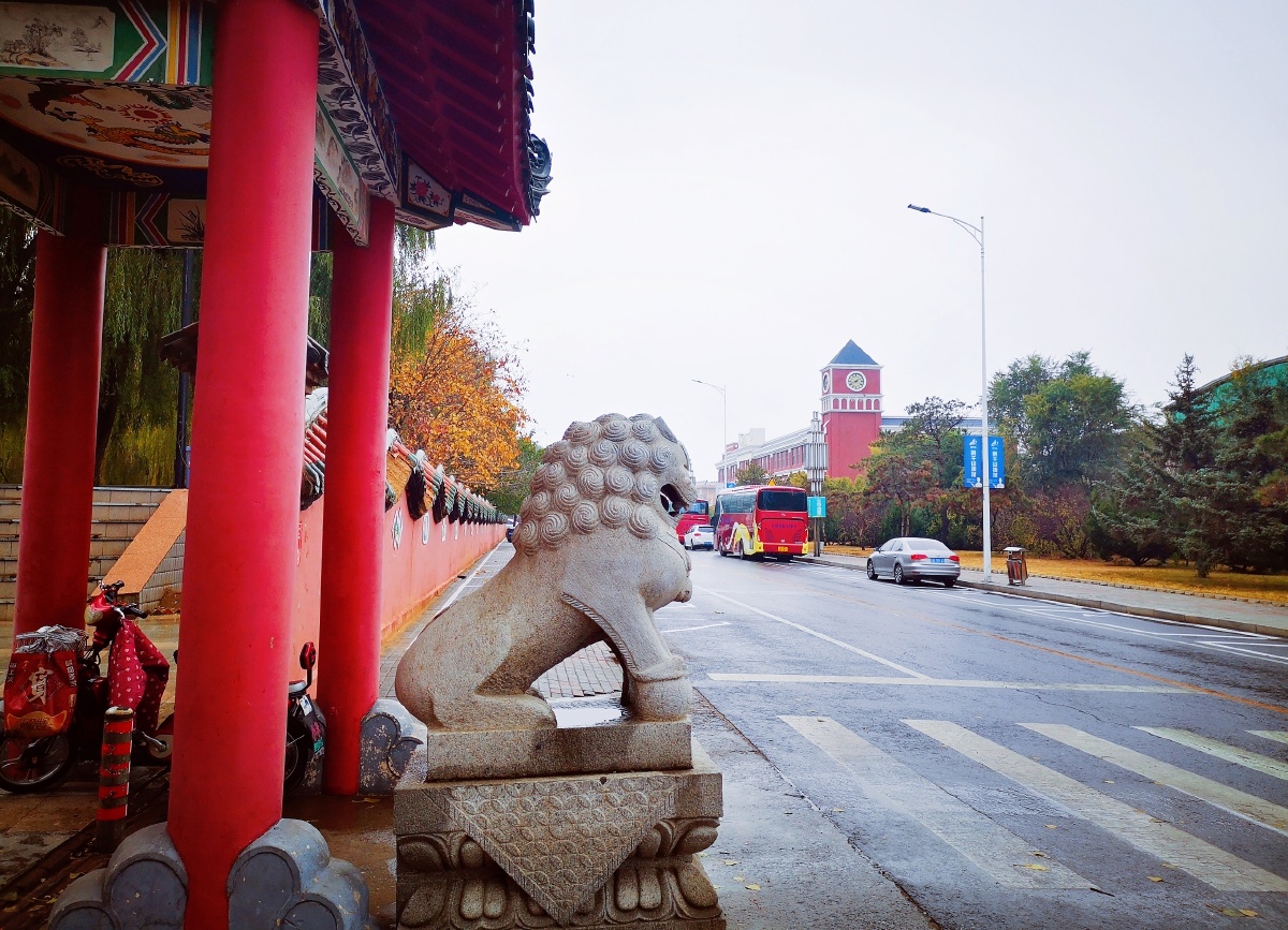 大连市普兰店区初冬的南山公园手机摄影!