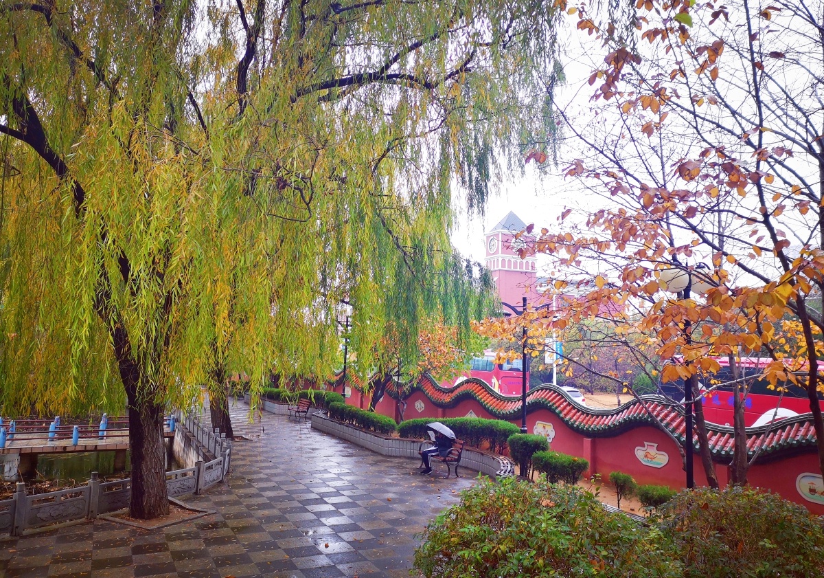 大连市普兰店区初冬的南山公园手机摄影!