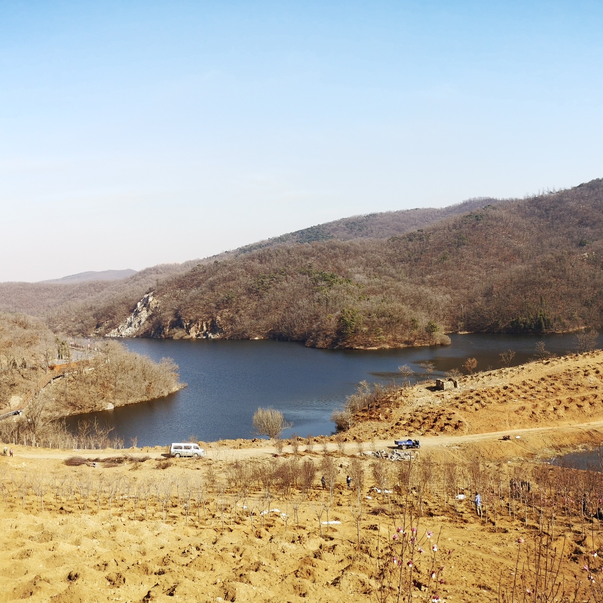 大连石河东沟风光手机摄影,三月末已经是春暖花开,柳