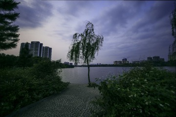 未标11