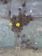 C360_2015-04-16-09-39-18-233 