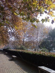 DSC00029.JPG