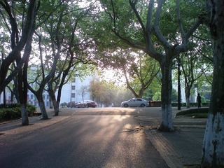 DSC00043.JPG