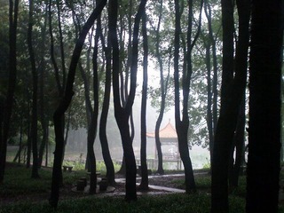 DSC00029.JPG