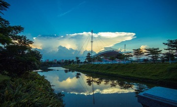 IMG_8520.jpg
