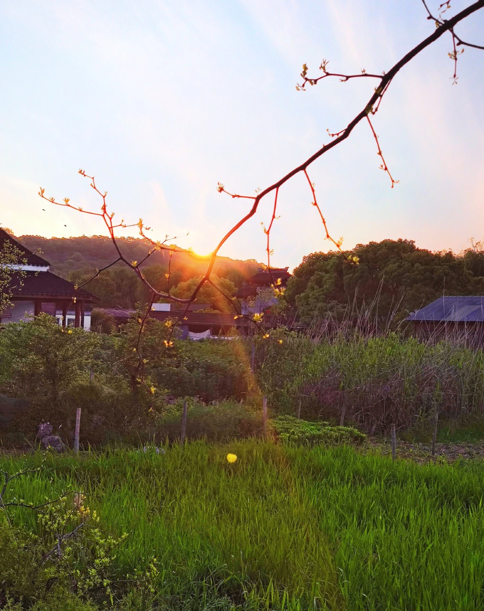 日出时的小山村静巧巧