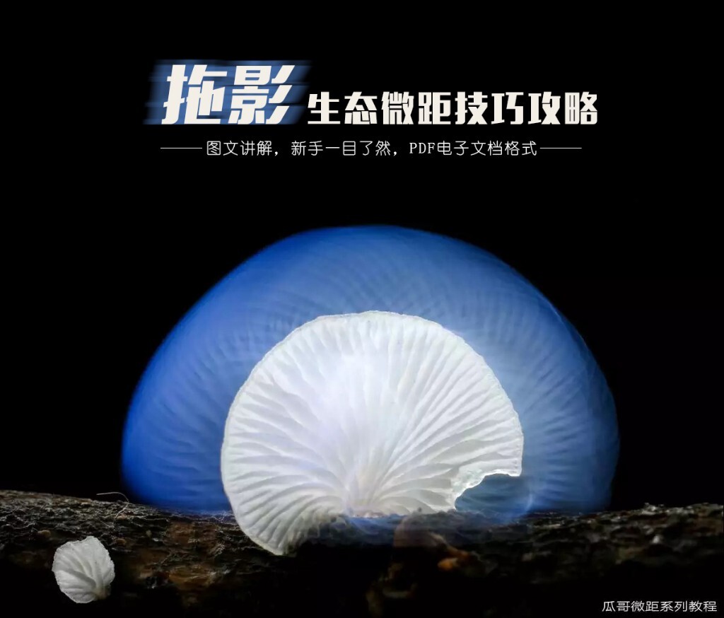 动感拖影微距教程<br />
百度云:<a href="http://pan.baidu.com/share/link?shareid=2351186750&amp;uk=2620747047" target="_blank" rel="nofollow">http://pan.baidu.com/share/link?shareid=2351186750&amp;uk=2620747047</a><br />
