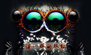 双眼