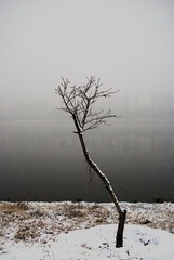 _DSC0522.jpg