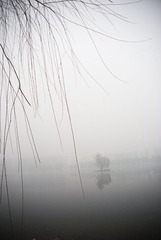 _DSC0547.jpg