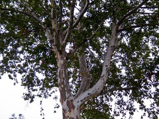 南京火车站玄武湖_20111001_0013.jpg
