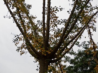 南京火车站玄武湖_20111001_0032.jpg