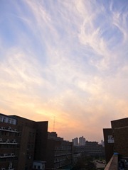 科大校园_20111120_0021.jpg