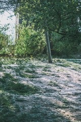 3966829