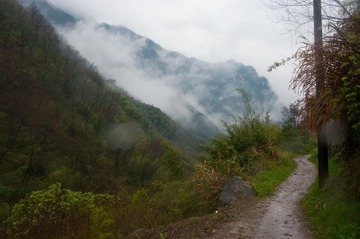 20090404-IMGP4814