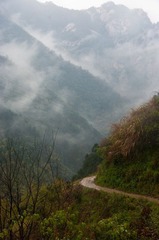 20090404-IMGP4818