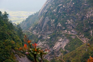 20090404-IMGP4838