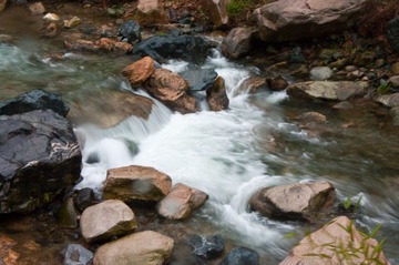 20090404-IMGP4865