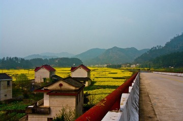 20090405-IMGP4977