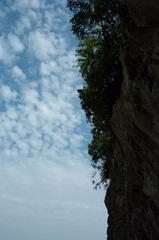 天崖
