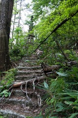 弃路