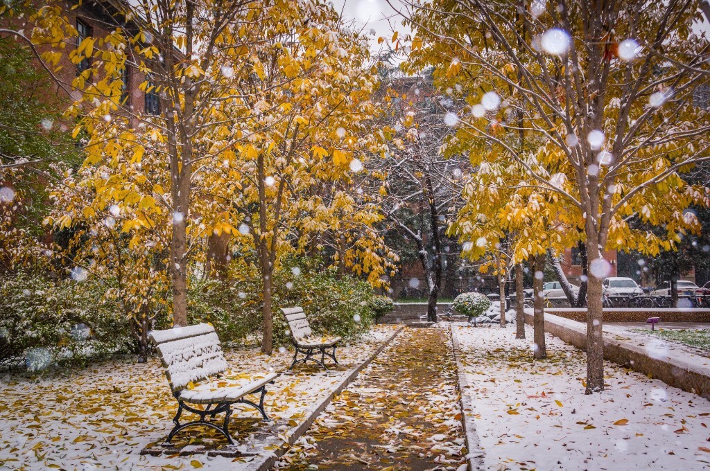11月 | 小雪 | 园子,新闻学院<br />
小雪那天下大雪。当时在安安静静下着的雪中,无比庆幸能用相机记录下这独一无二的时刻。<br />