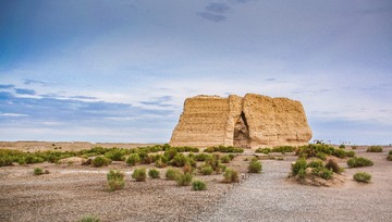 DSC07972-1