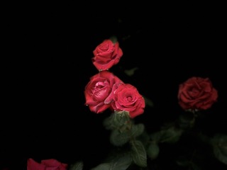 C4879FBA-8E0A-4862-AFCD-A0CB6883C050/L0/001