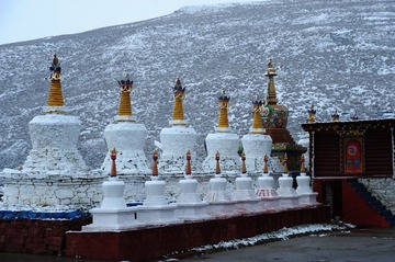 DSC_7814.jpg
