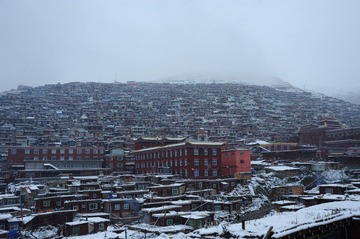 DSC_7874.jpg