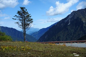 DSC_8221.jpg